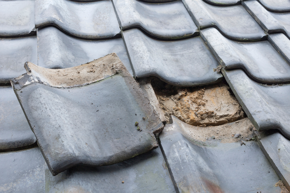 八幡市の屋根修理・適正価格を判断するための大切なポイント